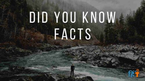 amazing facts in hindi