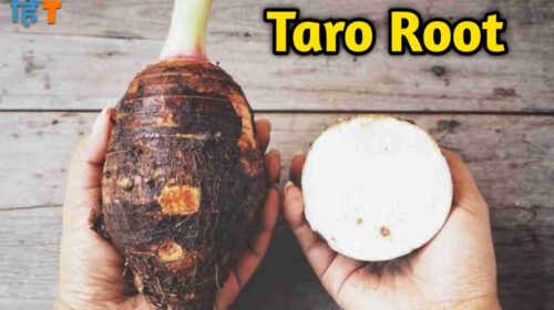 taro root