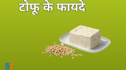 tofu kya hai