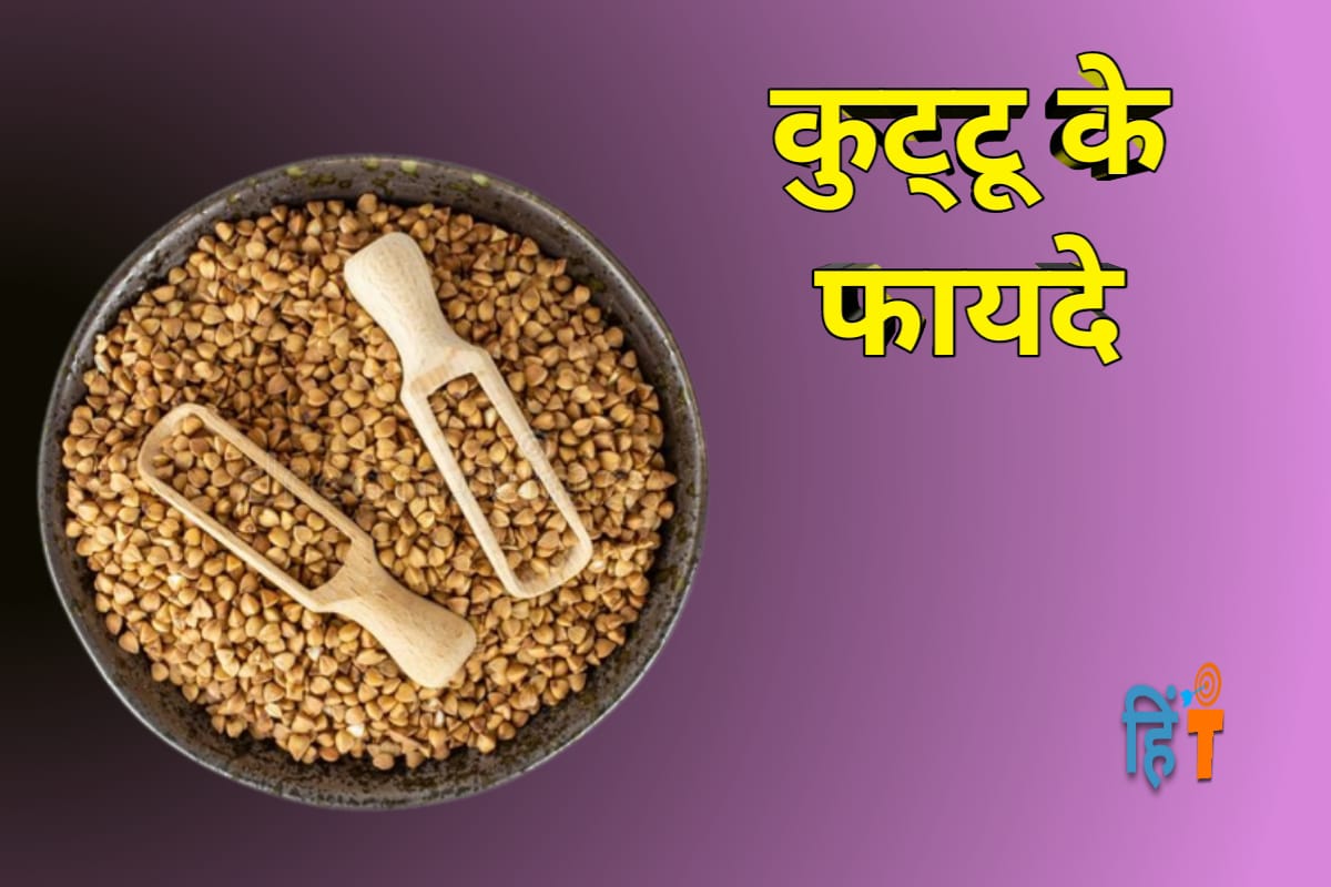 benefits-of-buckwheat-in-hindi-kuttu-ke-fayde