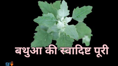 How to make Wild Spinach Recipe in hindi