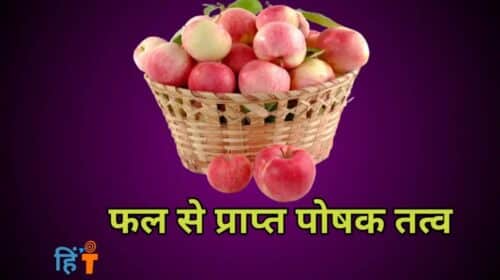 Organic-Fruits-ke-fayde-in-Hindi-3-1